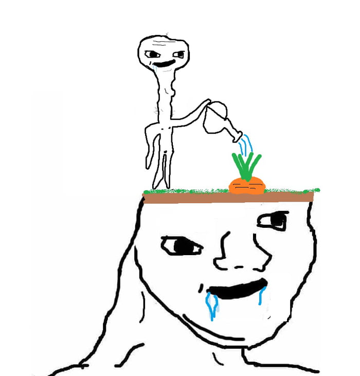 Degen farming meme - stick figure watering carrot on crying wojak